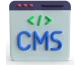 WordPress CMS development for business and eCommerce websites